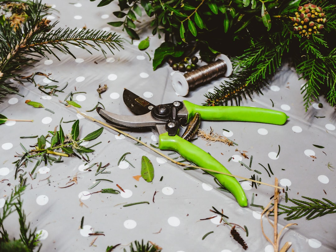 Seasonal Gardening Tips for Maintaining a Lush Green Space Seasonal Gardening Tips for Maintaining a Lush Green Space
