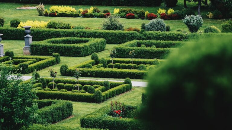 Inspiring Garden Layout Ideas to Elevate Your Backyard Design
